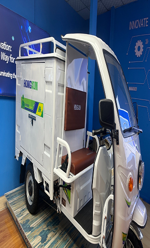 Book Sunride Tricycle